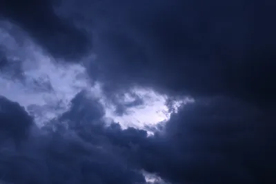 DSC_1639 (Large).JPG